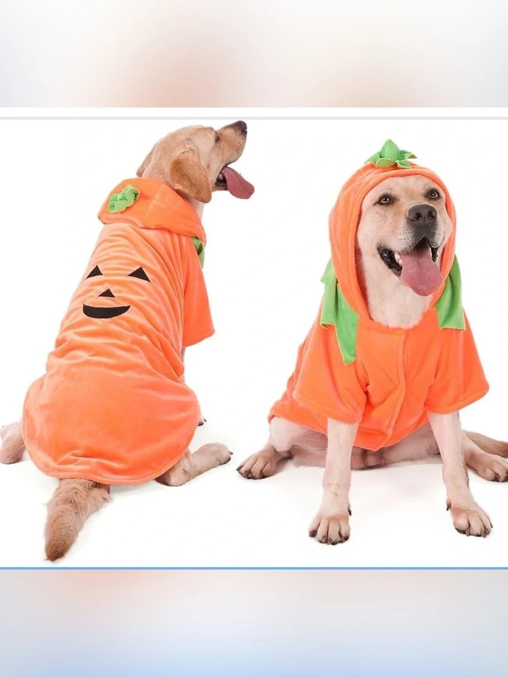 NWOT Orange Pumpkin Dog Plush Hoodie Costume - LARGE Dog - Pet Coat size 5XL